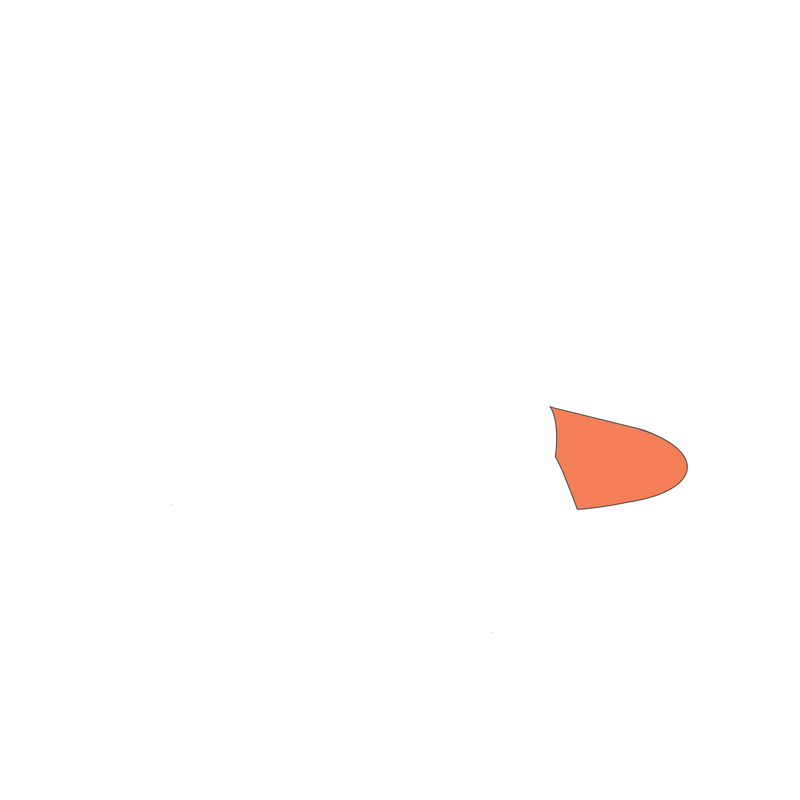 Bright Orange