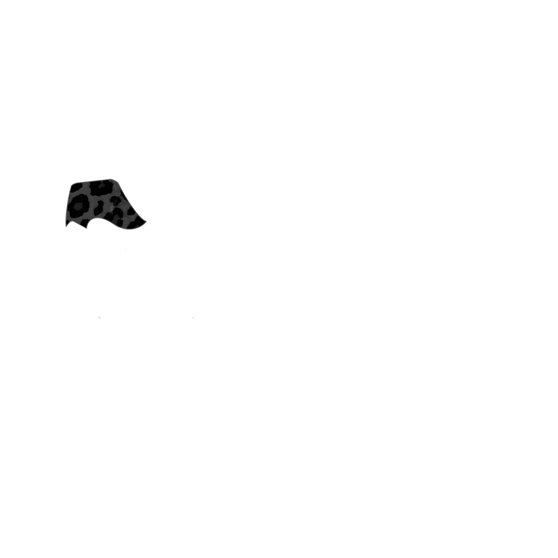 Black Leopard
